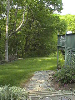 the backyard, with deck